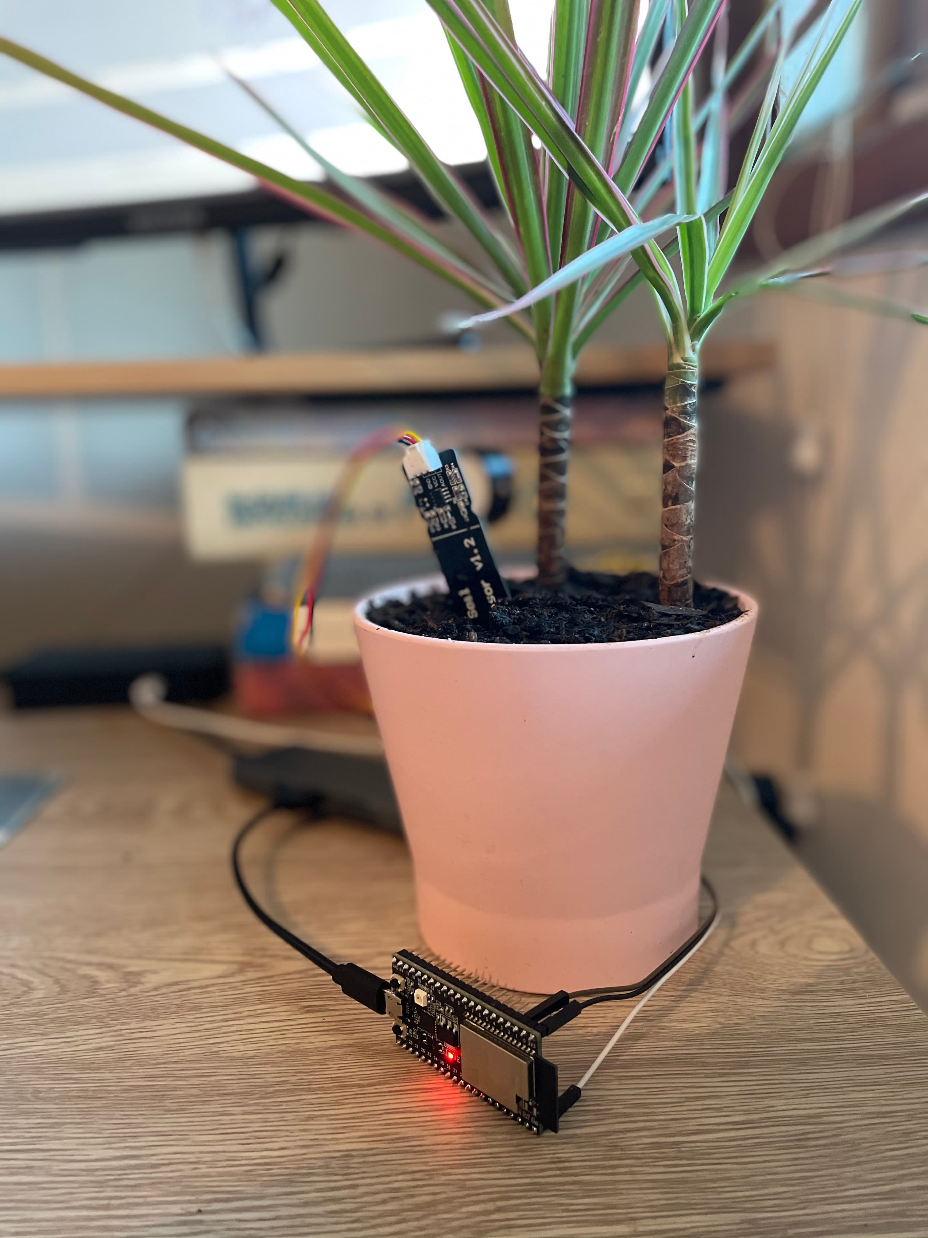 Dragontree IoT Monitor 2